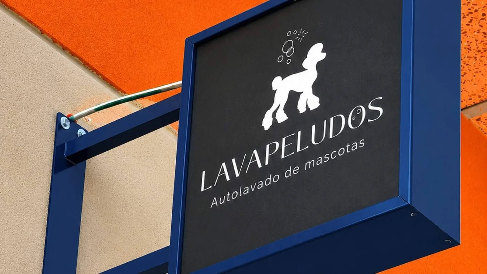 El autolavado de mascotas que evita pelos, olores y baños imposibles en casa llega a El Cañaveral
